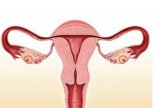 成都助孕机构：黄体功能不足的三大治疗方法，帮助更好地备孕