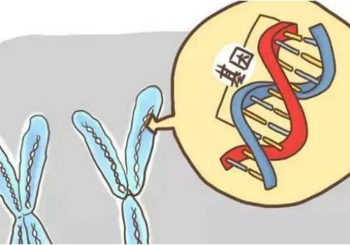 同房一次就怀孕的几率大吗,如何提高怀孕的成功率