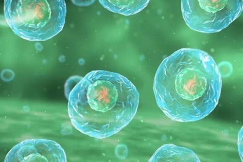 成都助孕机构：深圳哪些私人医院可以提供服务,深圳最佳私人医院的选择