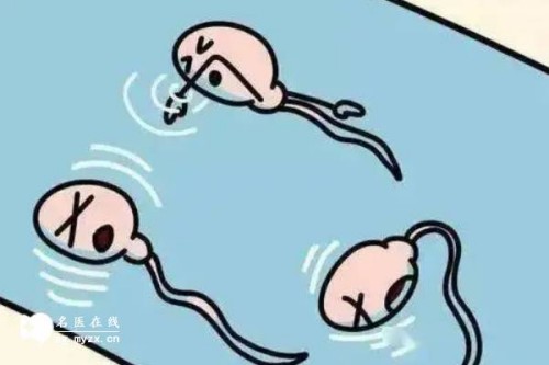 孕中期要注重饮食健康，吃一些对胎儿发育好的食物