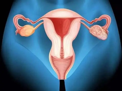 高龄女性养好卵子的妙招，提升卵子质量并非难事