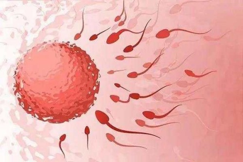 取卵后怎么防止腹水,取卵后腹水该怎么办