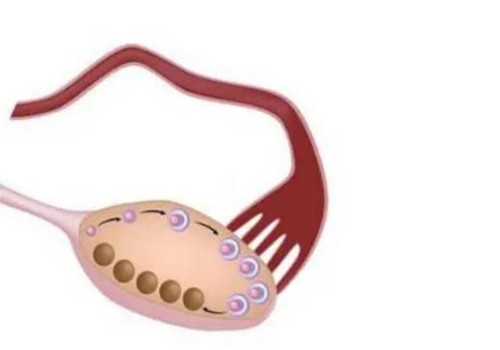 这些遗传疾病只传男不传女，早知道早预防