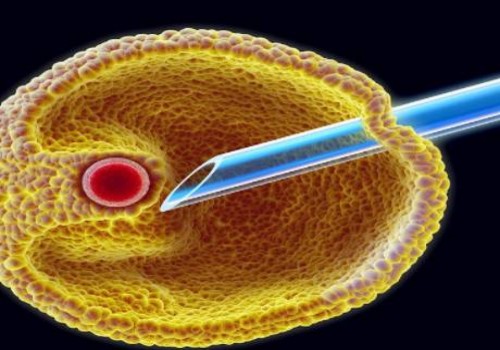 200个精子5个正常的是弱精吗？精子不正常会不育吗
