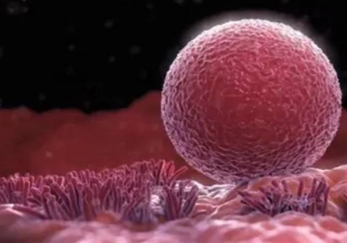 成都助孕机构：产检时间安排好，否则影响产检的准确性